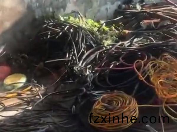 鐢電嚎鐢電紗鍥炴(yang)敹瑙嗛�灞曠ず